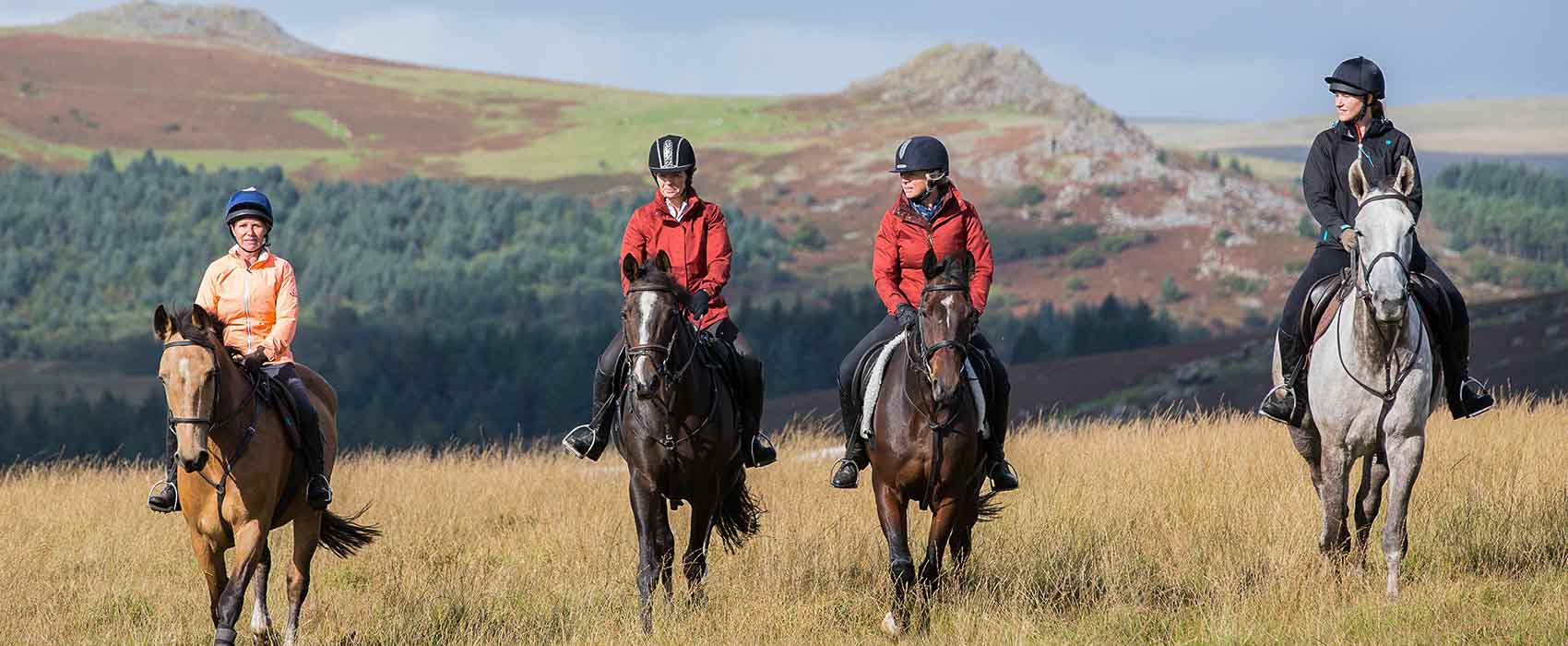 Things to on Dartmoor & beyond, walking, canoeing organised activites